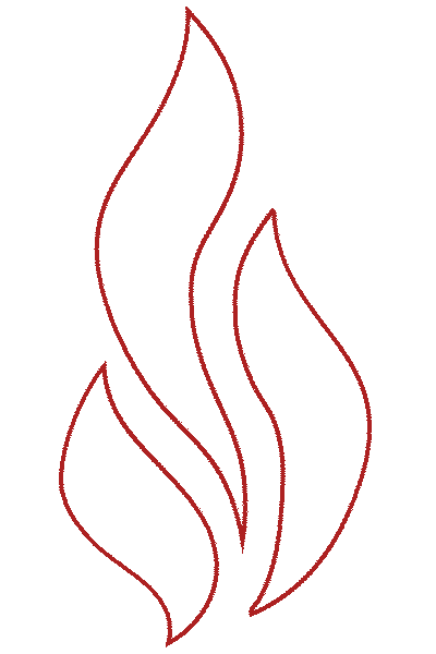 FireGold - Johana Součková